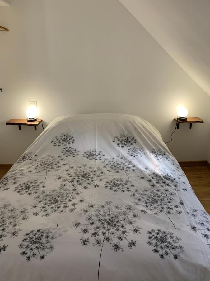 Willa Mesnie Sas Reugny  Zewnętrze zdjęcie